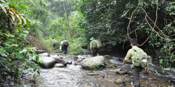 Chia sẻ kinh nghiệm khám phá và Trekking vườn quốc gia Chư Yang Sin