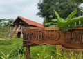 Review “ốc đảo” Lak Tented Camp khu Resort nghỉ dưỡng tuyệt đẹp ở Đắk Lắk