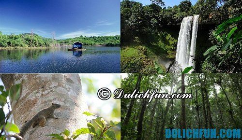 Khu bảo tồn thiên nhiên Tà Đùng là điểm du lịch hấp dẫn tại Đăk Nông