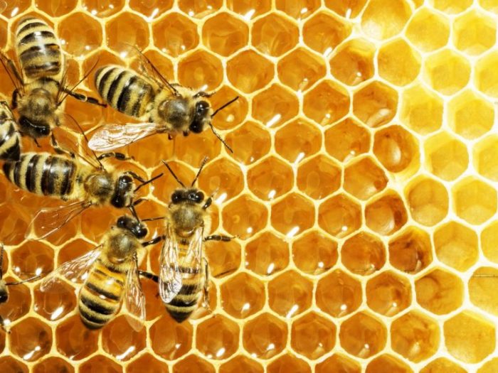 Sử dụng mật ong