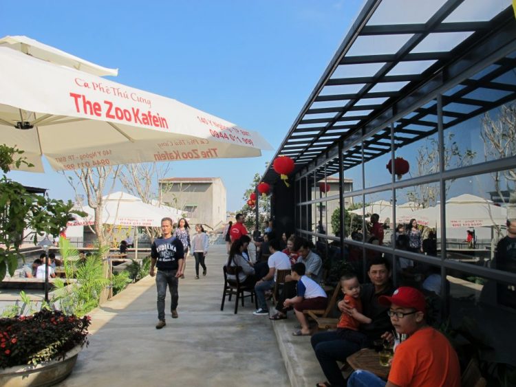 The Zoo Kafein đang thu hút nhiều người dân Đắk Lắk