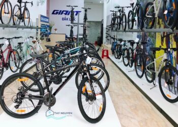 Top 10+ Cửa hàng xe đạp chất lượng uy tín tại Buôn Ma Thuột [hienthinam]