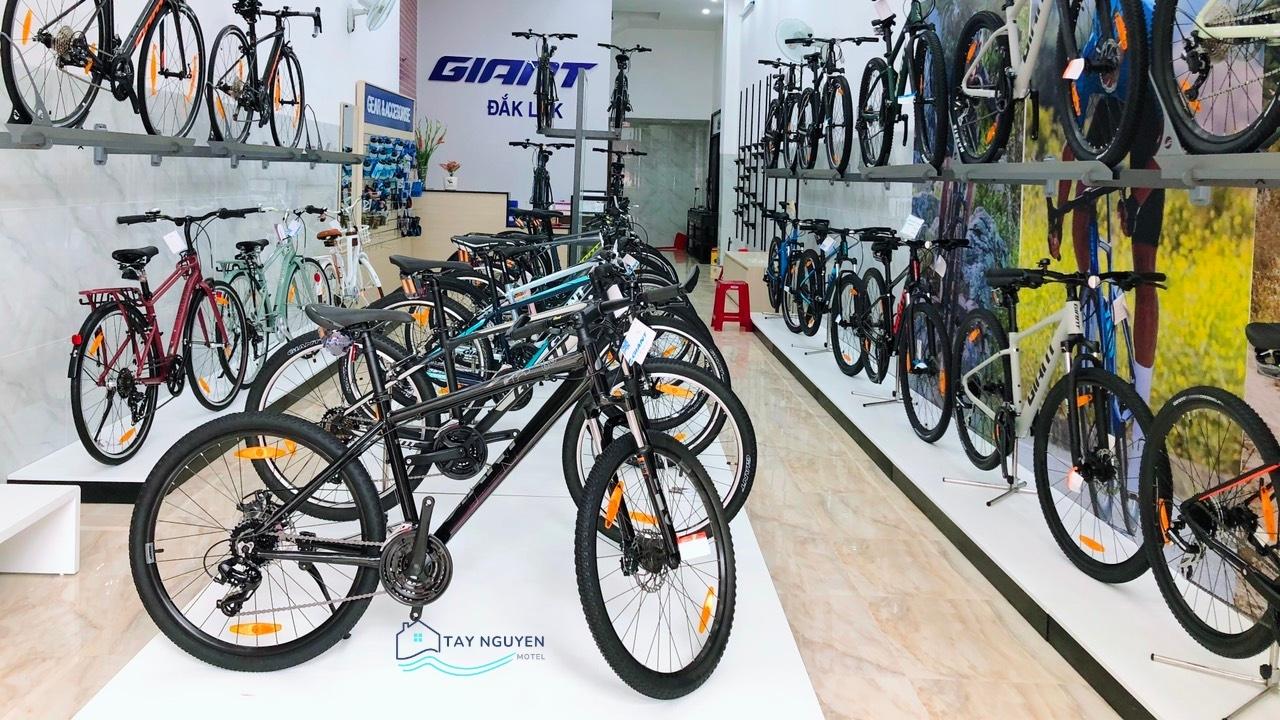 Dịch vụ sửa xe đạp xe máy điện tại nhà  Báo Phụ Nữ Việt Nam