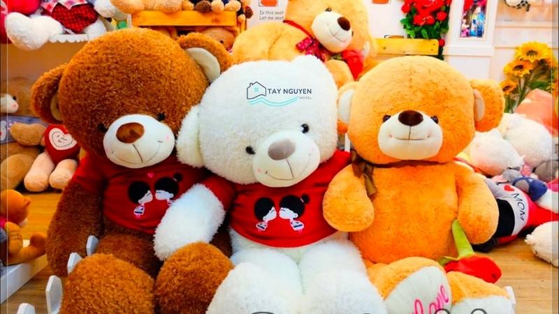 Gấu Shop Buôn Ma Thuột
