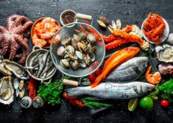 Top 10+ quán hải sản tươi ngon, chất lượng ở buôn ma thuột mới [hienthinam]