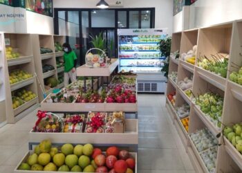 Top 10+ cửa hàng trái cây sạch, uy tín tại Buôn Ma Thuột mới [hienthinam]