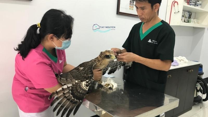 Phòng khám thú y Blue Petcare