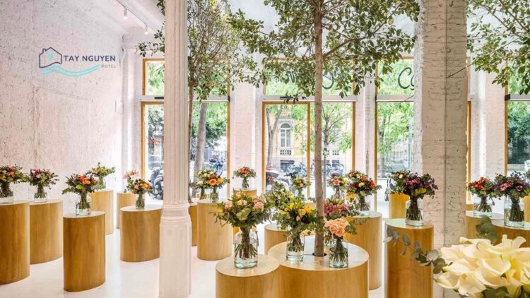 Top 10+ Shop hoa tươi đẹp, được yêu thích tại Buôn Ma Thuột mới [hienthinam]