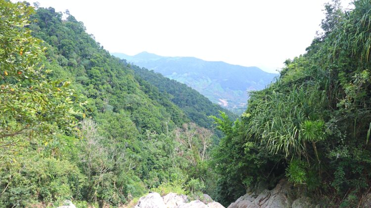 Hố trời Gia Lai – Tuyệt tác của tạo hóa giữa vùng non cao đại ngàn